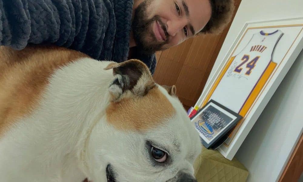 Klay Thompson pays tribute to beloved bulldog Rocco on social media