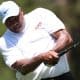 Fore! Barkley is longest shot in celeb golf tourney