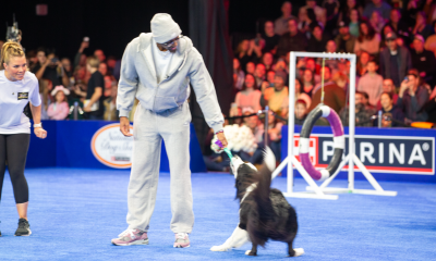 How Tyrese Maxey went from the hardwood to the 2025 National Dog Show
